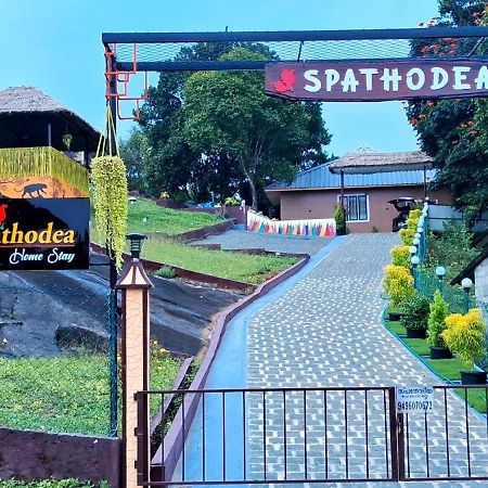 Spathodea Vagamon Extérieur photo