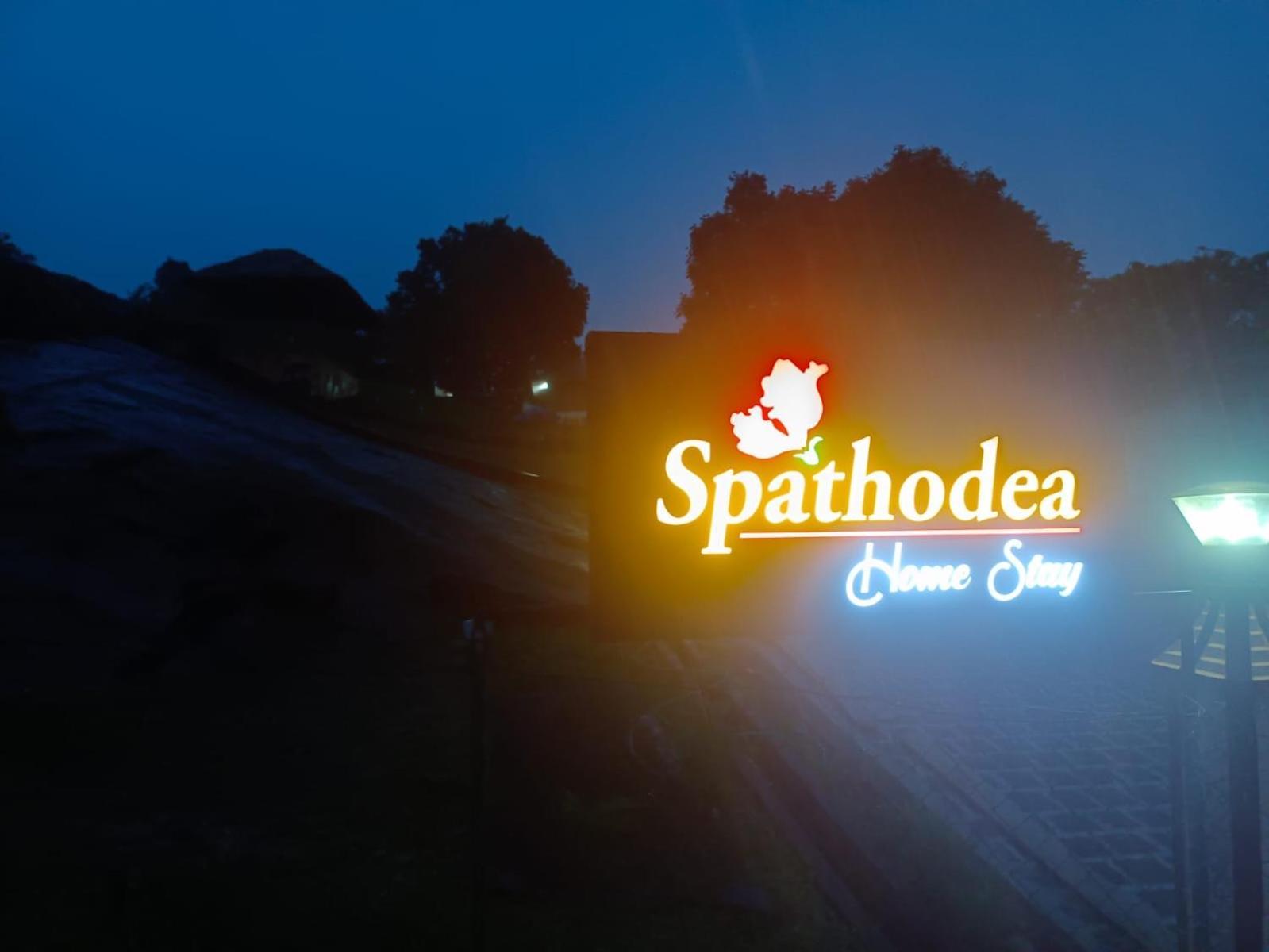 Spathodea Vagamon Extérieur photo